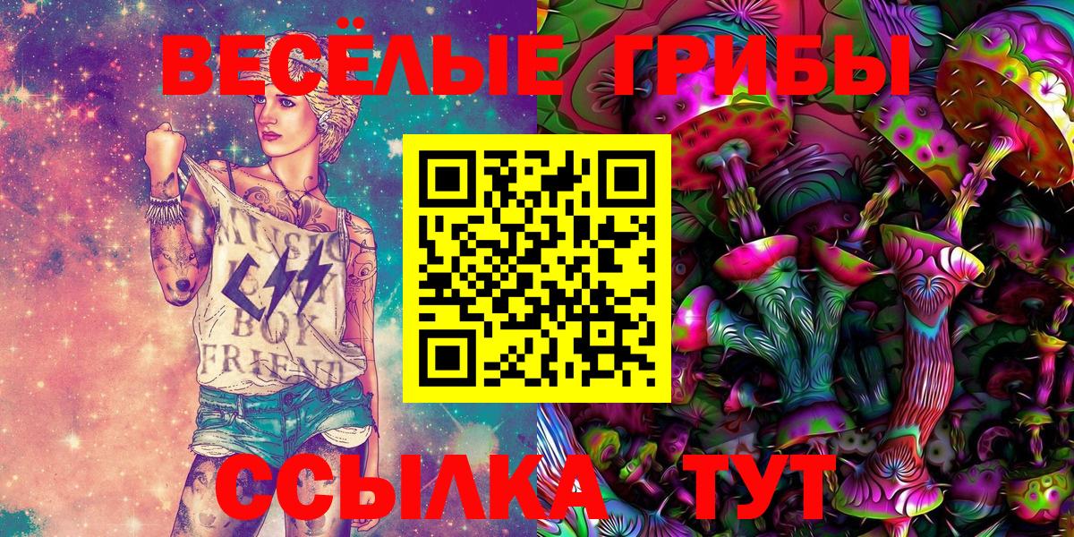 Гурьевск  наркошоп  Вход с VPN  Псилоцибиновые грибы мицелий  Псилоцибиновые грибы Magic Shrooms 